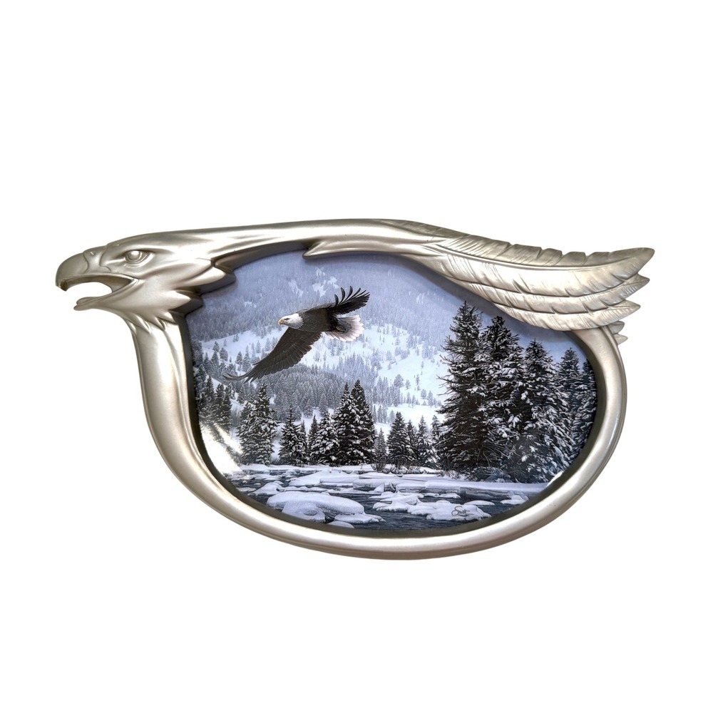 Bradford Exchange On Eagles Wings Dan Smith Silver Sovereigns Plate A6393 1999